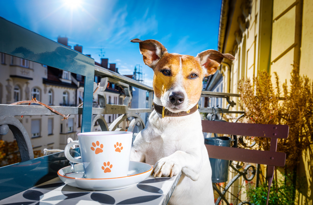 Jack Russell Terrier Tomando Chá jigsaw puzzle in Animais puzzles on TheJigsawPuzzles.com