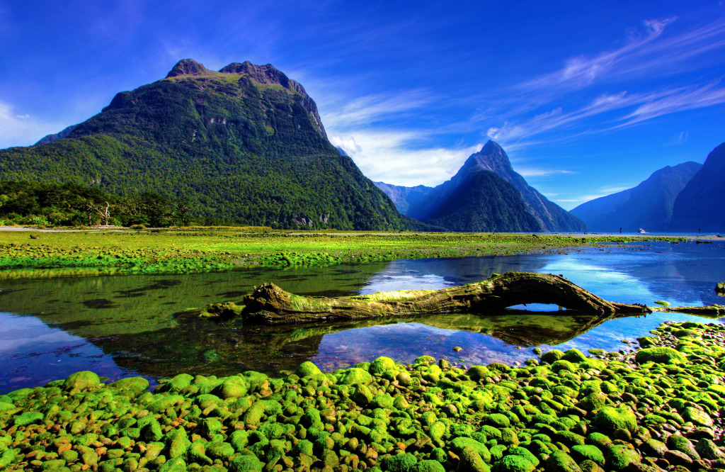 Mirror Lakes, New Zealand jigsaw puzzle in Great Sightings puzzles on TheJigsawPuzzles.com