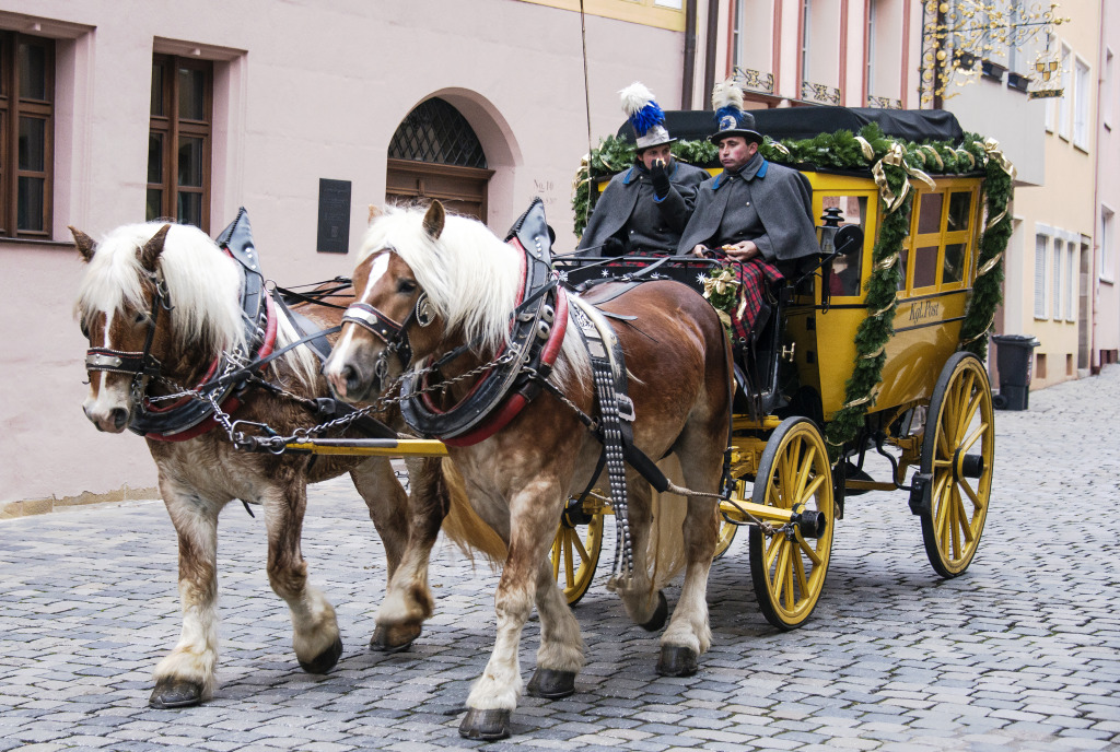 Attelage de chevaux, Nuremberg, Allemagne jigsaw puzzle in Animaux puzzles on TheJigsawPuzzles.com