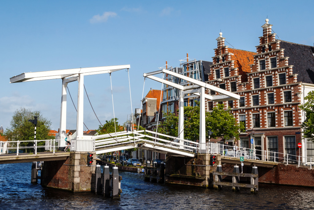 Centre historique de Haarlem, Pays-Bas jigsaw puzzle in Ponts puzzles on TheJigsawPuzzles.com