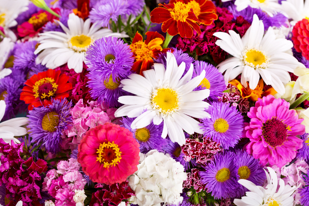 Summer Flowers jigsaw puzzle in Flowers puzzles on TheJigsawPuzzles.com