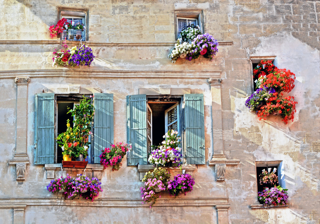Provence, Cote d'Azur, France jigsaw puzzle in Flowers puzzles on TheJigsawPuzzles.com