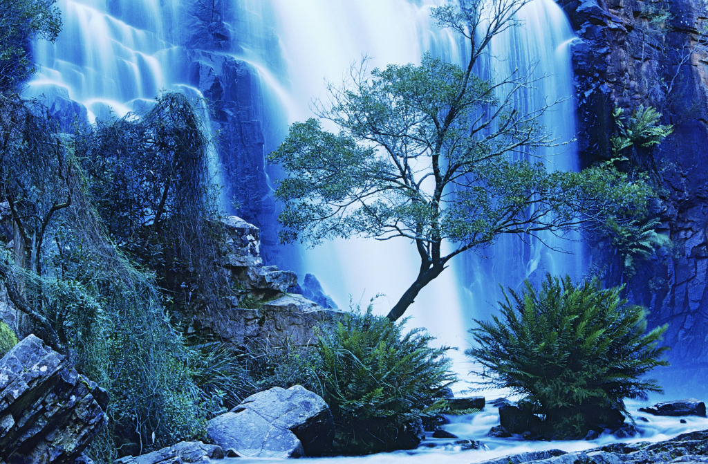 Wasserfall im australischen Wald jigsaw puzzle in Wasserfälle puzzles on TheJigsawPuzzles.com