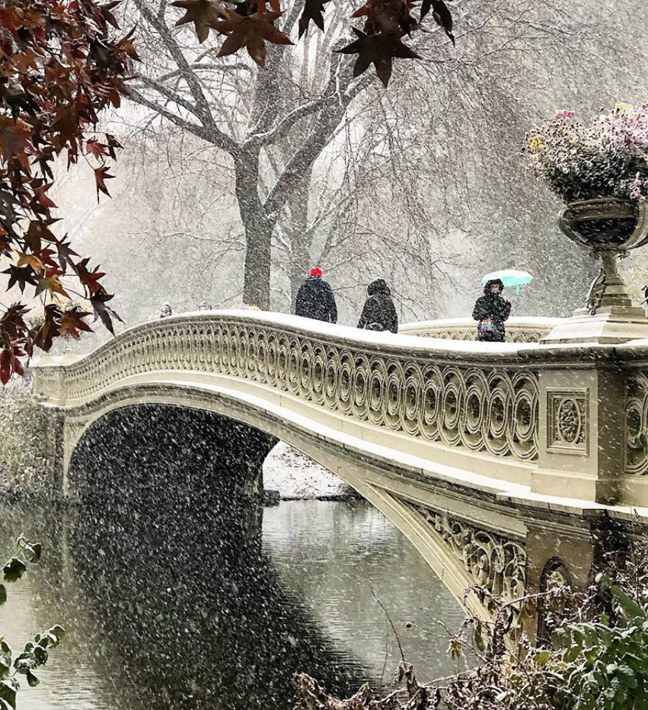 NYC Central Park Bow Bridge Winter 2018 jigsaw puzzle in William Mann puzzles on TheJigsawPuzzles.com