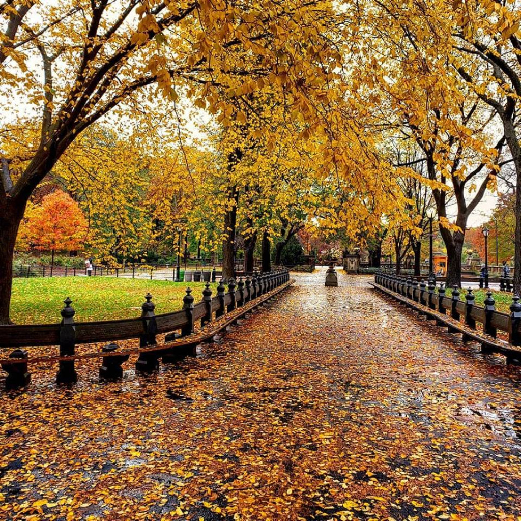 NYC Central Park Fall 2018 jigsaw puzzle in William Mann puzzles on TheJigsawPuzzles.com