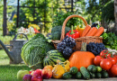 Basket of Vegetables and Fruits