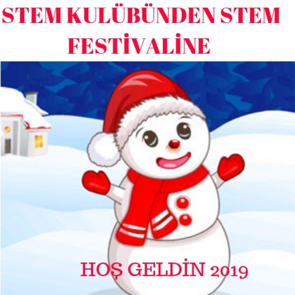 STEM KULÜBÜNDEN STEM FESTİVALİNE puzlla jigsaw puzzle in CANDAN puzzles on TheJigsawPuzzles.com