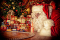 Santa Claus under the Christmas Tree