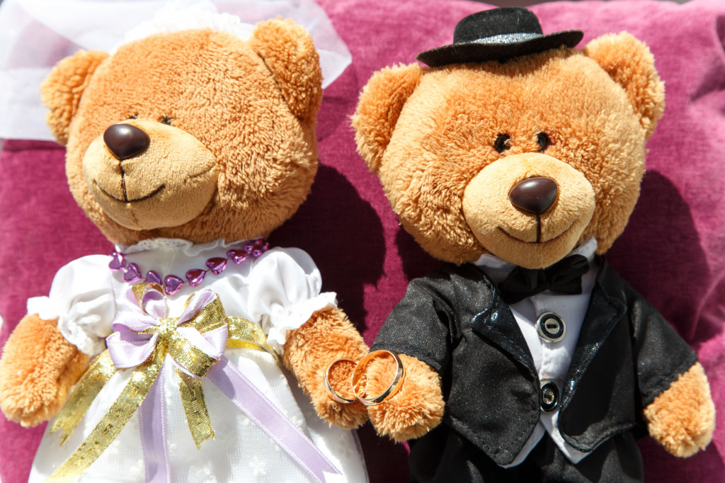 Teddy Bear Couple jigsaw puzzle in Puzzle of the Day puzzles on TheJigsawPuzzles.com