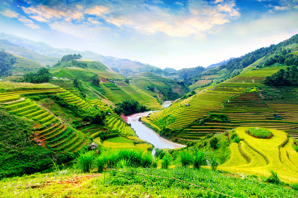 Rice Fields of Mu Cang Chai, Vietnam jigsaw puzzle in Great Sightings puzzles on TheJigsawPuzzles.com