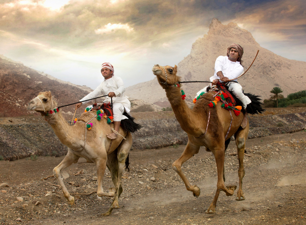 Camel Races in Khadal, Oman jigsaw puzzle in Menschen puzzles on TheJigsawPuzzles.com