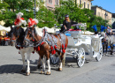 Horse-drawn Carriages in Kracow, Poland
