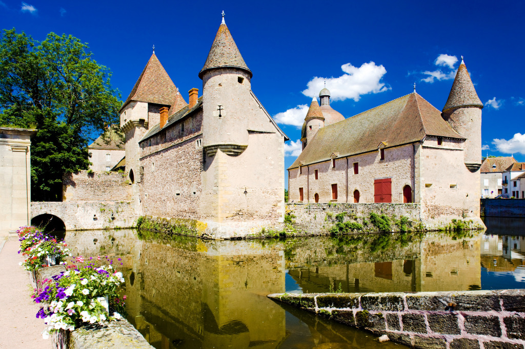 Castelo de La Clayette, Burgundy, França jigsaw puzzle in Castelos puzzles on TheJigsawPuzzles.com