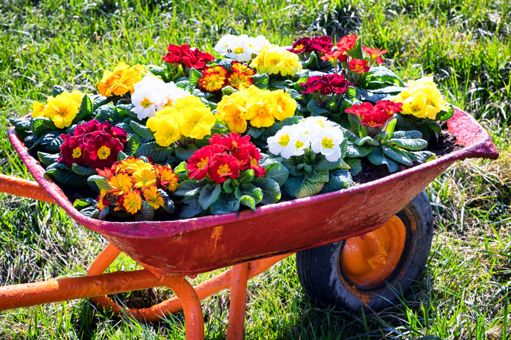 Flowers in an Old Cart jigsaw puzzle in Flowers puzzles on TheJigsawPuzzles.com