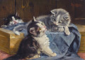 Three Kittens on a Blue Blanket
