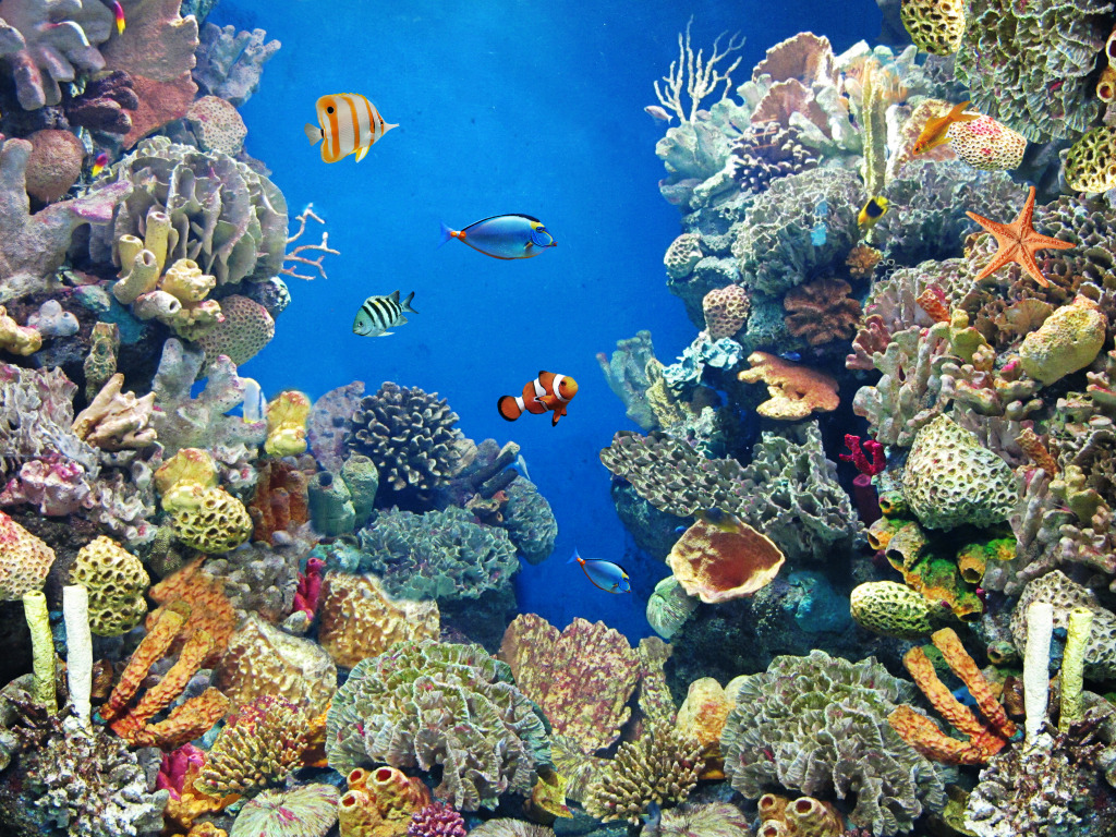 Fish in the Aquarium jigsaw puzzle in Under the Sea puzzles on TheJigsawPuzzles.com