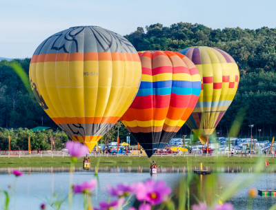Hot Air Balloons, Chiangrai, Thailand jigsaw puzzle in Aviation puzzles ...