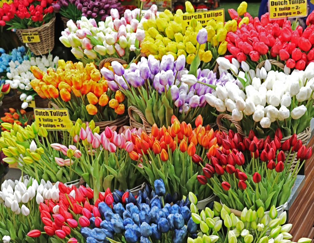 Marché aux tulipes d'Amsterdam jigsaw puzzle in Fleurs puzzles on TheJigsawPuzzles.com