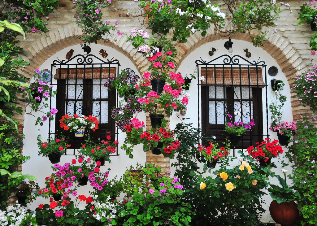 Die Stadt Córdoba, Spanien jigsaw puzzle in Blumen puzzles on TheJigsawPuzzles.com