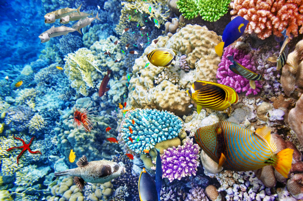 Underwater World with Corals and Tropical Fish jigsaw puzzle in Sous les mers puzzles on TheJigsawPuzzles.com