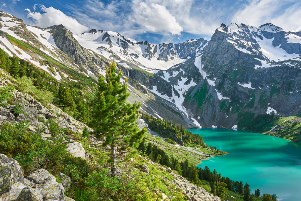 Paysage d'été, montagnes de l'Altaï, Sibérie jigsaw puzzle in Magnifiques vues puzzles on TheJigsawPuzzles.com