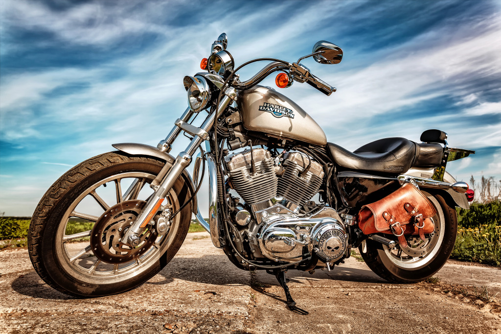 Harley-Davidson Sportster 883 Low jigsaw puzzle in Puzzle du jour puzzles on TheJigsawPuzzles.com