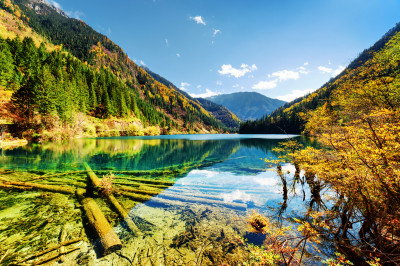 The Arrow Bamboo Lake, China jigsaw puzzle in Puzzle of the Day puzzles ...