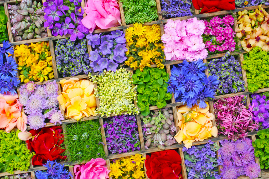 Fresh Flowers in Wooden Boxes jigsaw puzzle in Flowers puzzles on TheJigsawPuzzles.com