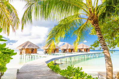 Tropical Beach, Maldives jigsaw puzzle in Great Sightings puzzles on ...