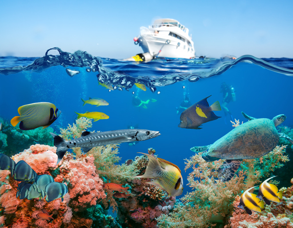 Tropische Fische und Korallenriff, Rotes Meer jigsaw puzzle in Unter dem Meer puzzles on TheJigsawPuzzles.com