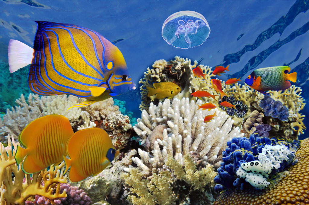 Beautiful Underwater World jigsaw puzzle in Sous les mers puzzles on TheJigsawPuzzles.com