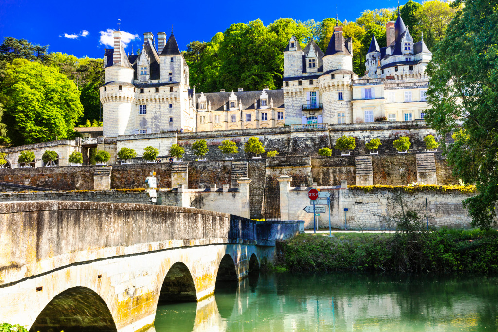 Castle Usse, Loire Valley, France jigsaw puzzle in Schlösser puzzles on TheJigsawPuzzles.com