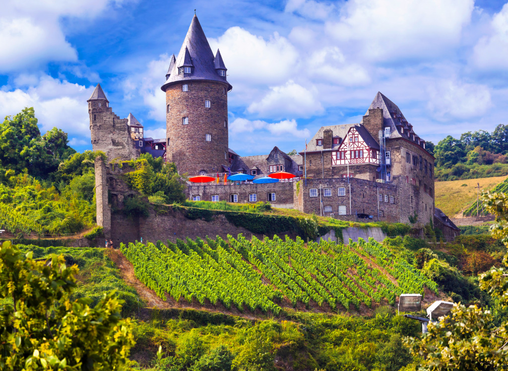 Rhine Valley, Germany jigsaw puzzle in Castles puzzles on TheJigsawPuzzles.com