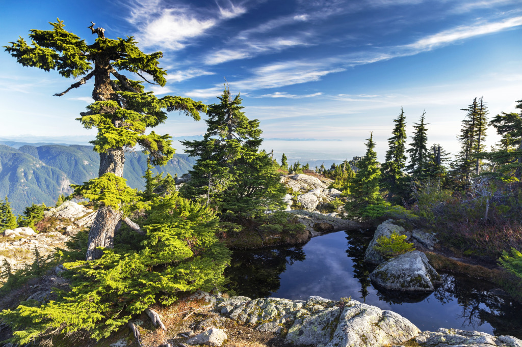 Tim Jones Peak and Mount Seymour, BC jigsaw puzzle in Great Sightings puzzles on TheJigsawPuzzles.com