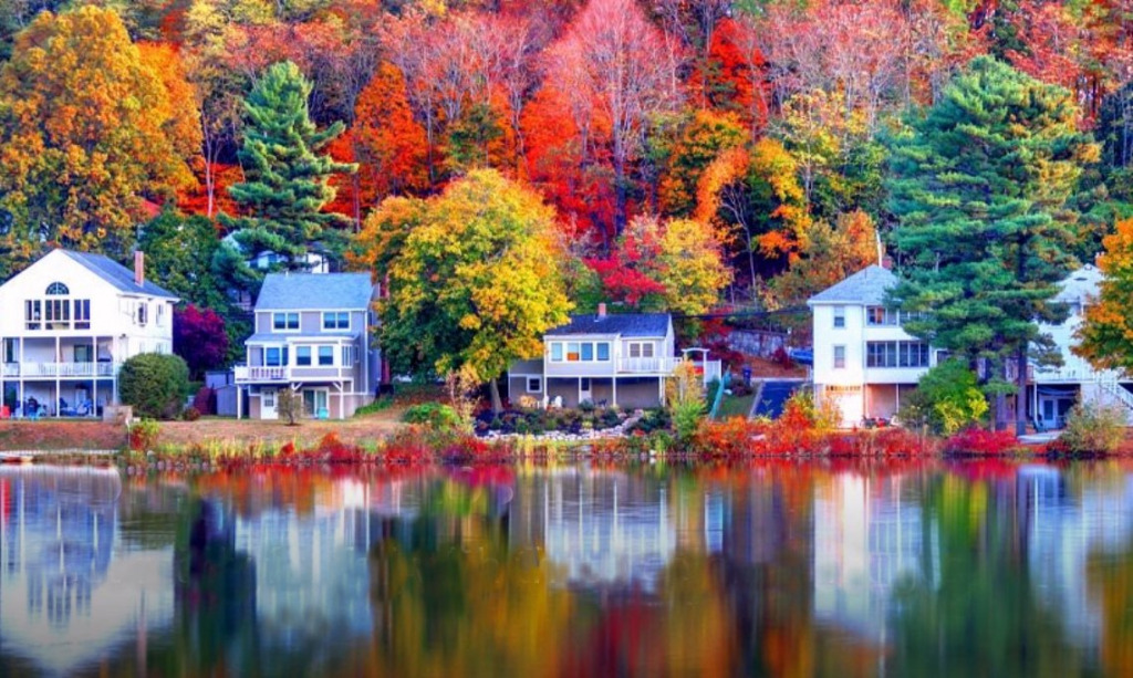 fall foliage jigsaw puzzle in Tim Orchard puzzles on TheJigsawPuzzles.com