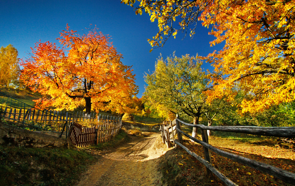 Autumn Landscape jigsaw puzzle in Great Sightings puzzles on TheJigsawPuzzles.com
