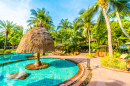 Tropical Resort Pool