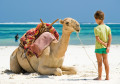 Kid and Camel On the Beach