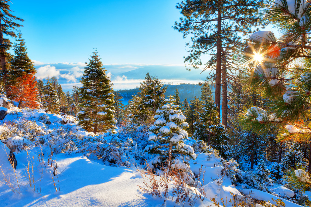 Sierra Nevada Winter Landscape jigsaw puzzle in Great Sightings puzzles on TheJigsawPuzzles.com