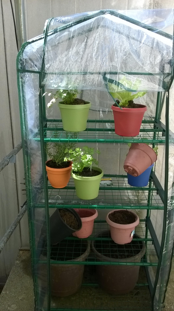 Summer Nursery jigsaw puzzle in Carol Stone puzzles on TheJigsawPuzzles.com