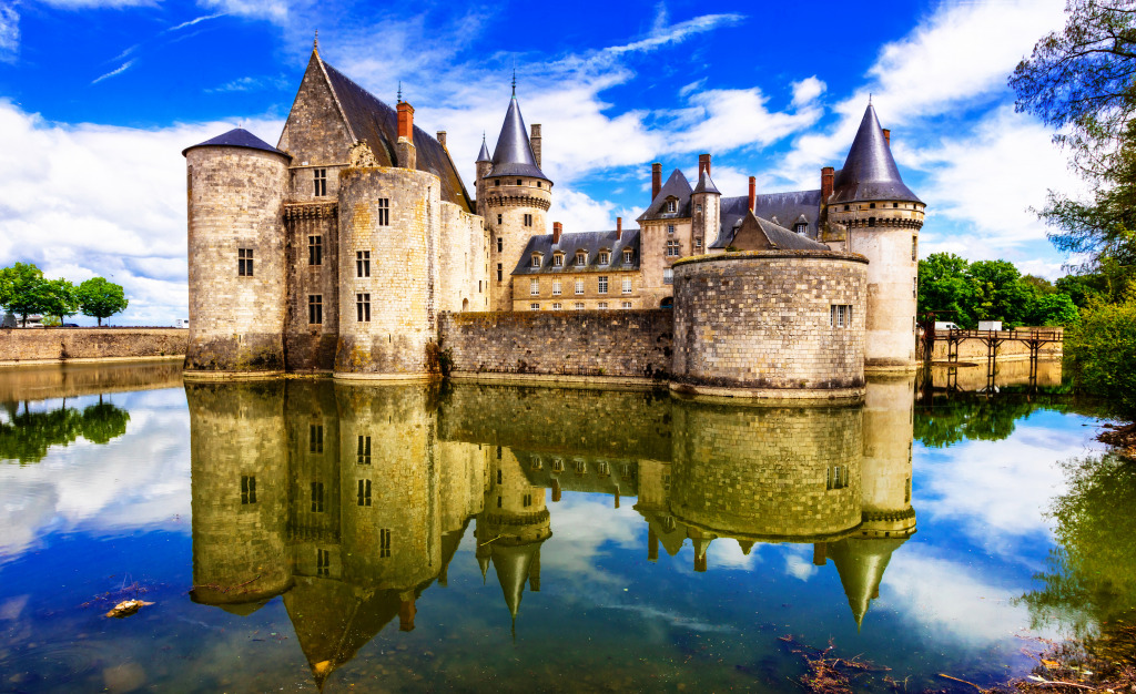 Castle Sully-sur-Loire, Loire Valley, France jigsaw puzzle in Castles puzzles on TheJigsawPuzzles.com