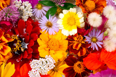 Floral Arrangement jigsaw puzzle in Flowers puzzles on TheJigsawPuzzles ...