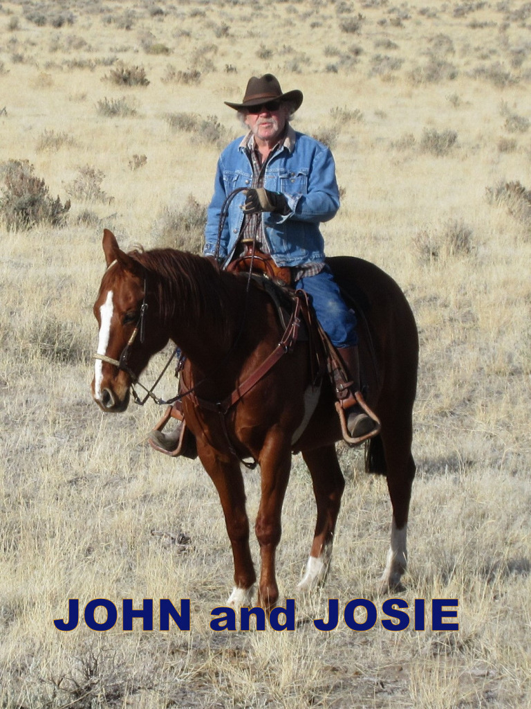 John and Josie jigsaw puzzle in Clarice Rinard puzzles on TheJigsawPuzzles.com