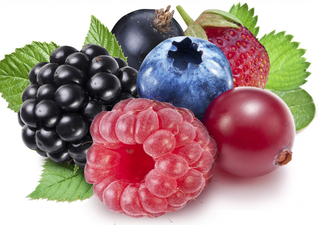 Wildbeeren jigsaw puzzle in Makro puzzles on TheJigsawPuzzles.com