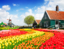 Rural Dutch Scenery