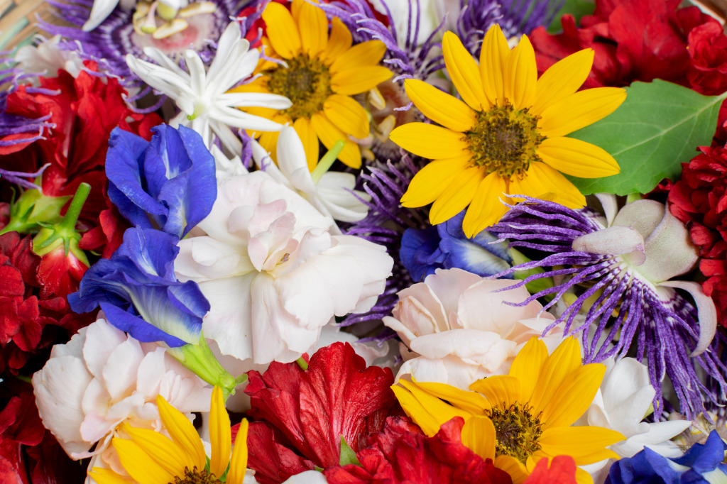 Colourful Flowers jigsaw puzzle in Macro puzzles on TheJigsawPuzzles.com