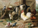 A Goat, Chicken and Doves in a Stable