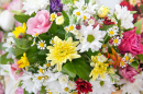 Bouquet of Daisies and Chrysanthemums