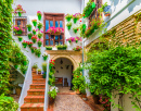 Courtyard with Flower in Cordoba, Spain