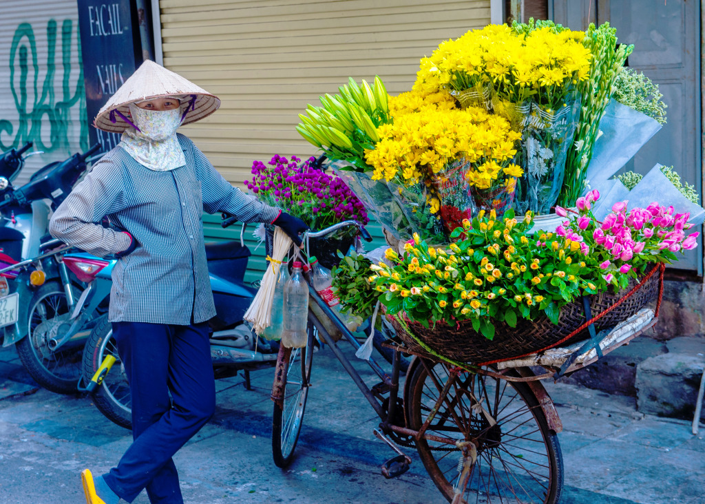 Flowers Seller in Hanoi, Vietnam jigsaw puzzle in People puzzles on TheJigsawPuzzles.com